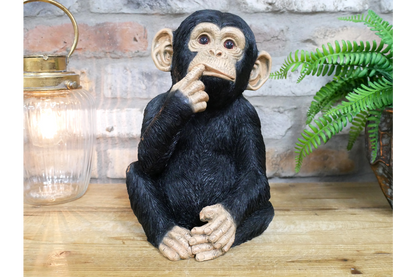 Finger In Mouth Monkey Statue | Playful & Quirky Decorative Figurine | Fun Home | Sign of the times Stoke