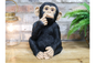 Finger In Mouth Monkey Statue | Playful & Quirky Decorative Figurine | Fun Home | Sign of the times Stoke