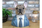 Large Frenchie Dog Bust – Stylish French Bulldog Sculpture | Sign of the times Stoke