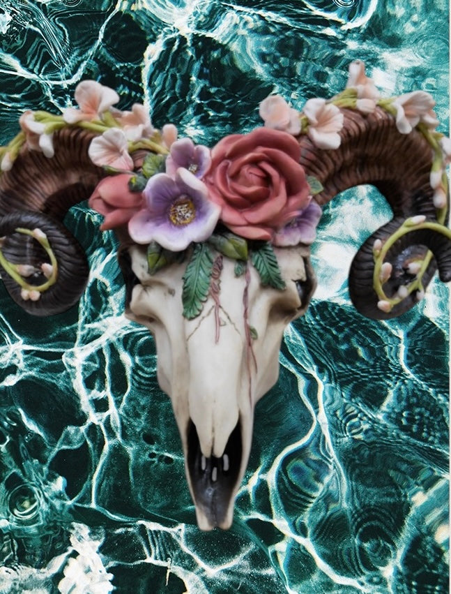Floral Ram Skull Wall Head – Rustic Wall Décor with Intriguing Charm | Sign of the times Stoke