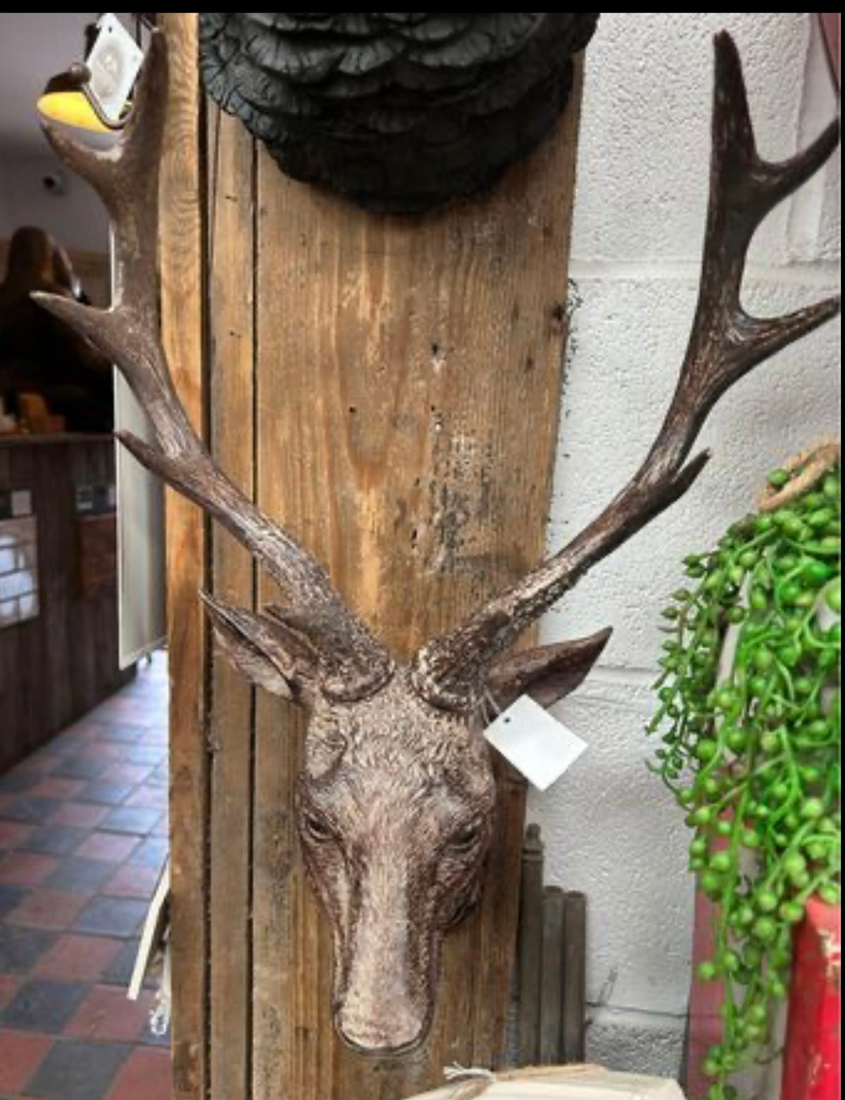 Stags Head Wall Mount - Natural Brown Resin Deer Head | Sign of the times Stoke
