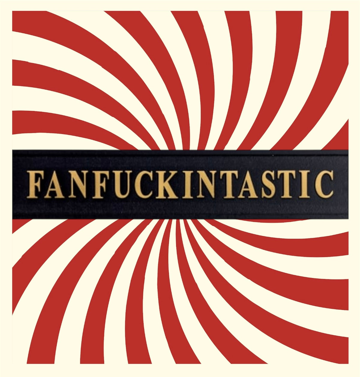 "FANFUCKINTASTIC" Sign - Humorous Home Decor | Sign of the times Stoke