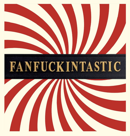 "FANFUCKINTASTIC" Sign - Humorous Home Decor | Sign of the times Stoke