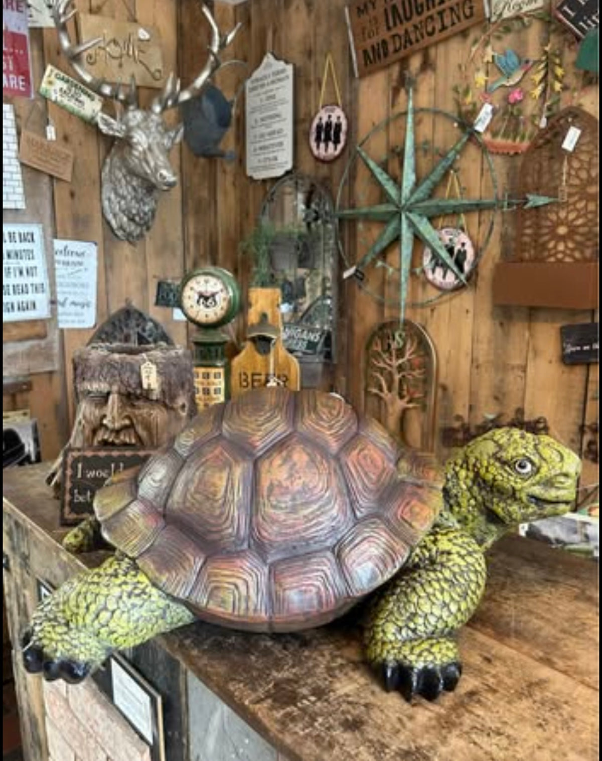 Large Resin Tortoise Sculpture – Realistic Outdoor/Indoor Decor | Sign of the times Stoke