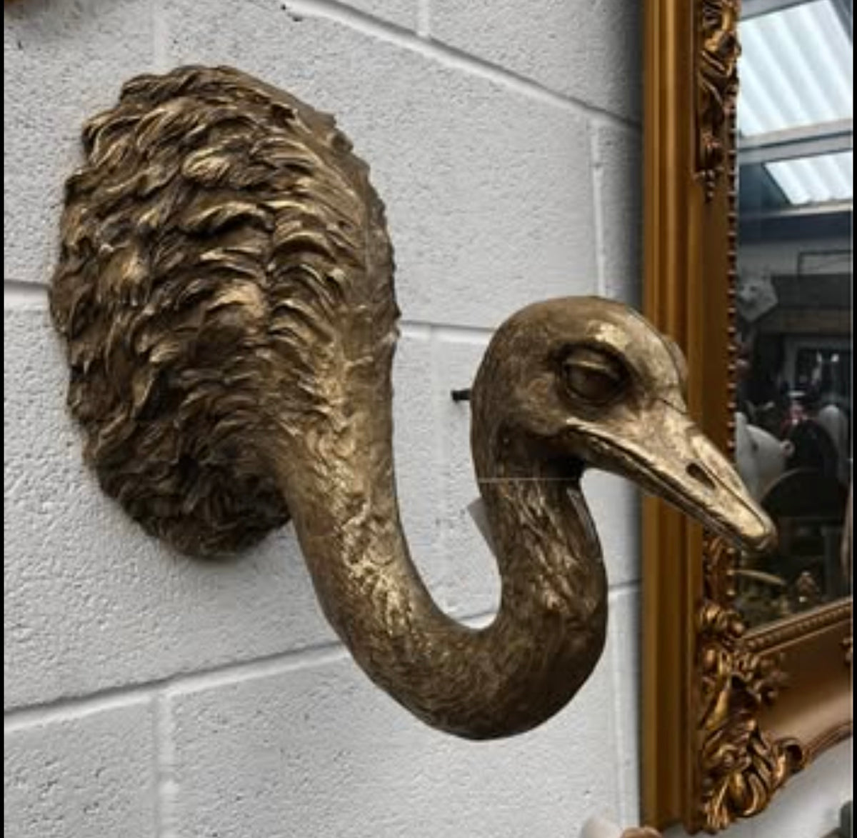 Ostrich Wall Decor – Quirky and Elegant Wall Sculpture | Sign of the times Stoke