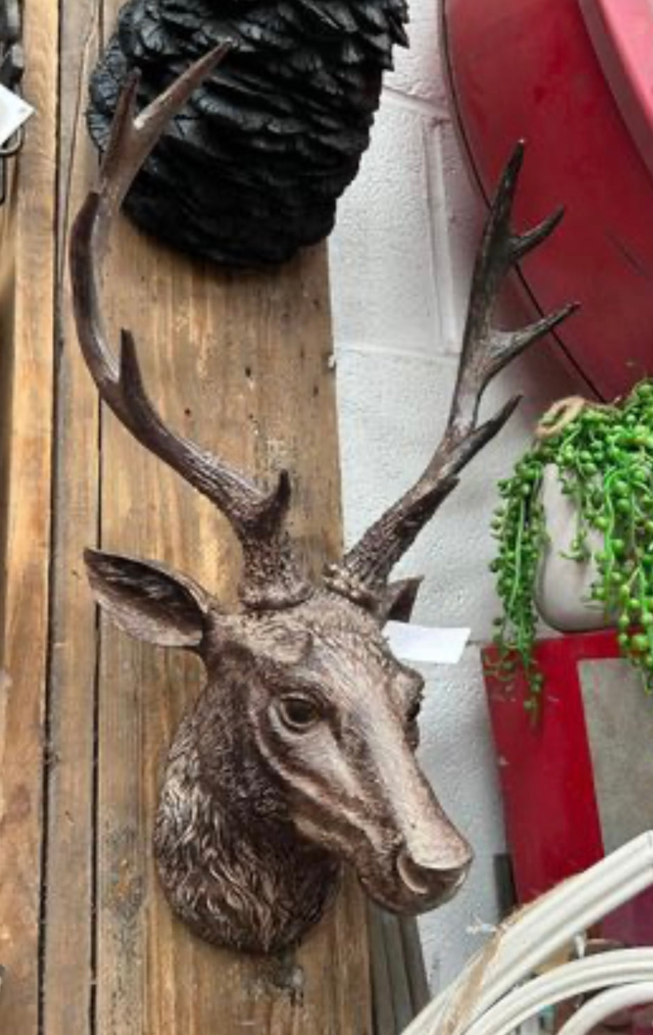 Stags Head Wall Mount - Natural Brown Resin Deer Head | Sign of the times Stoke