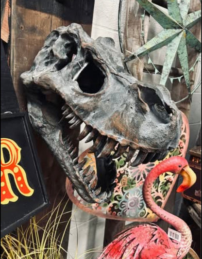 Large T-Rex Dinosaur Head Wall Mount - Stunning Prehistoric Decor | Sign of the times Stoke