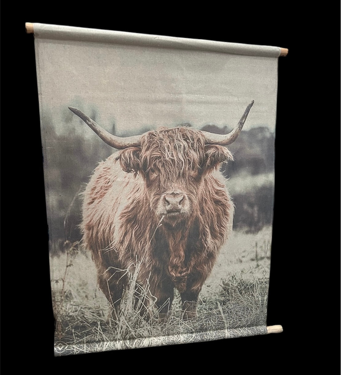 Highland Cow Canvas Wall Art - Rustic Farmhouse Hanging Décor | Sign of the times Stoke