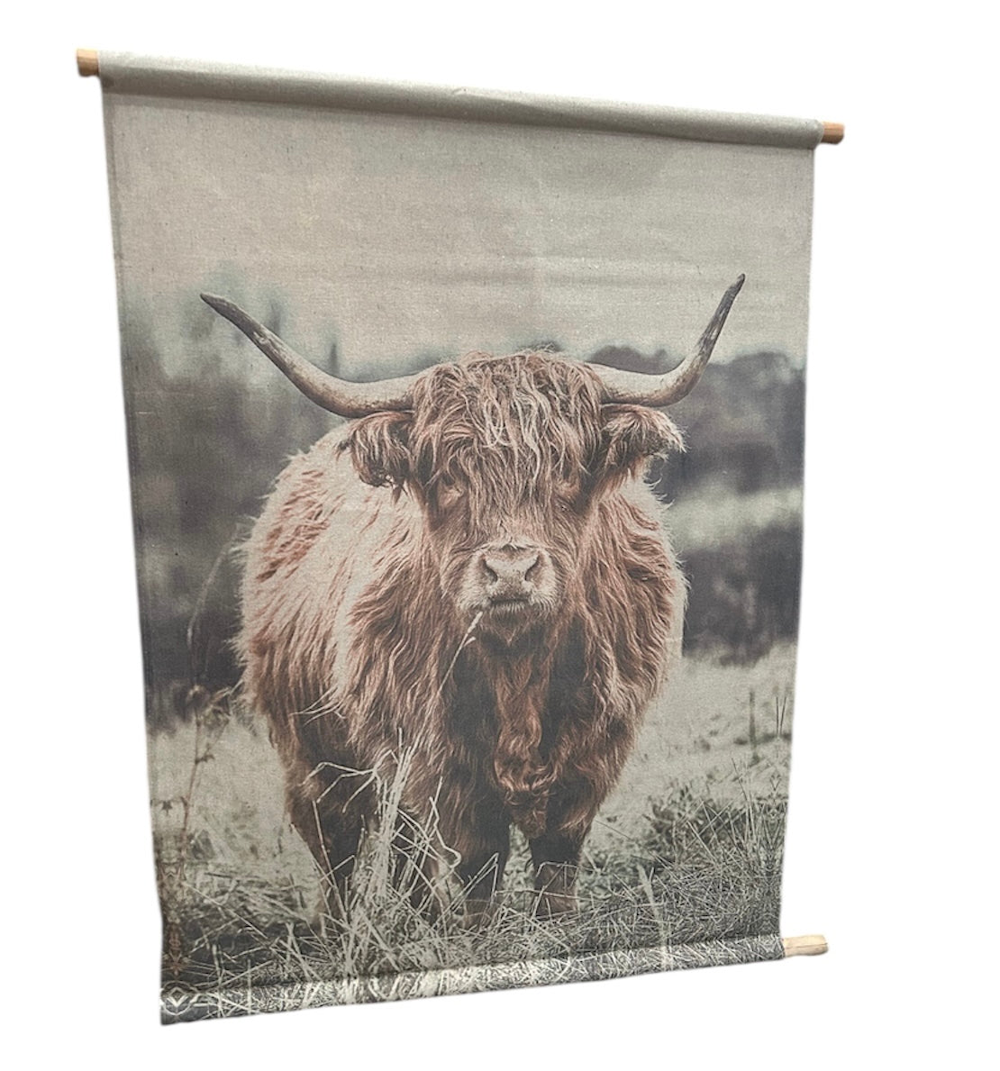 Highland Cow Canvas Wall Art - Rustic Farmhouse Hanging Décor | Sign of the times Stoke