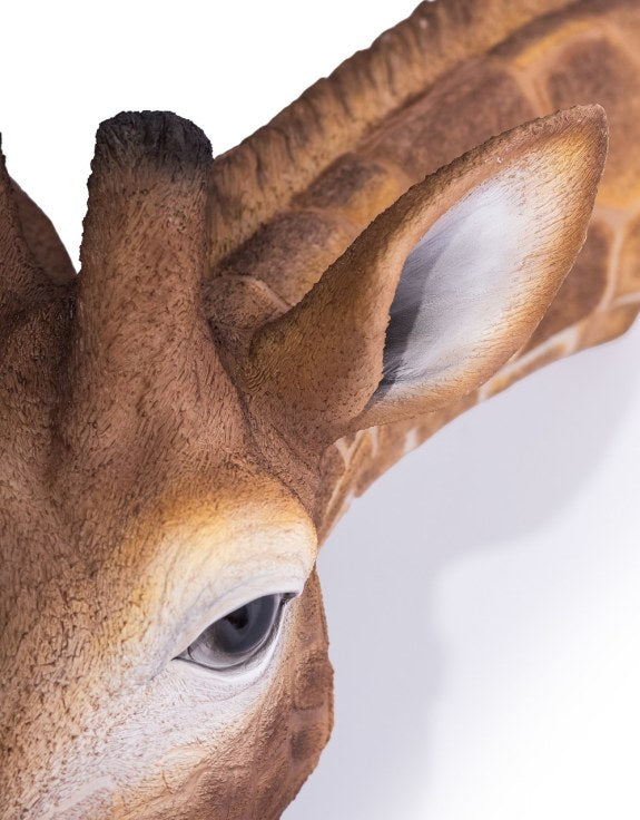 Large Giraffe Wall Head – Eye-Catching Safari Animal Wall Decor | Sign of the times Stoke