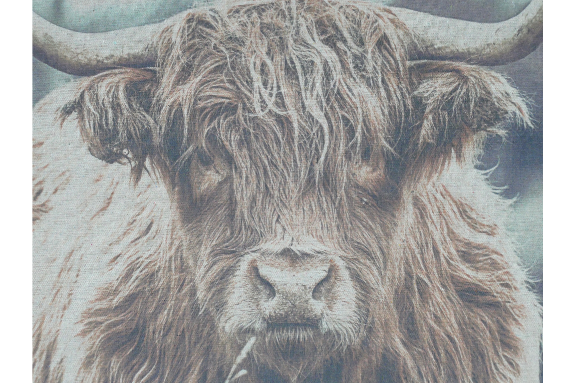 Highland Cow Canvas Wall Art - Rustic Farmhouse Hanging Décor | Sign of the times Stoke