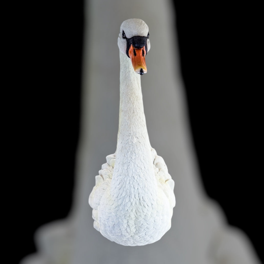 Elegant Swan Wall Mount – Realistic Resin Wall Art | Sign of the times Stoke