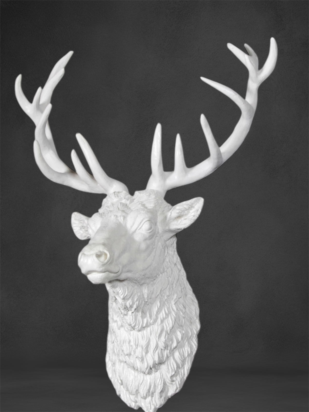 Elegant White Stag Head Wall Sculpture – Resin Wall Art | Sign of the times Stoke