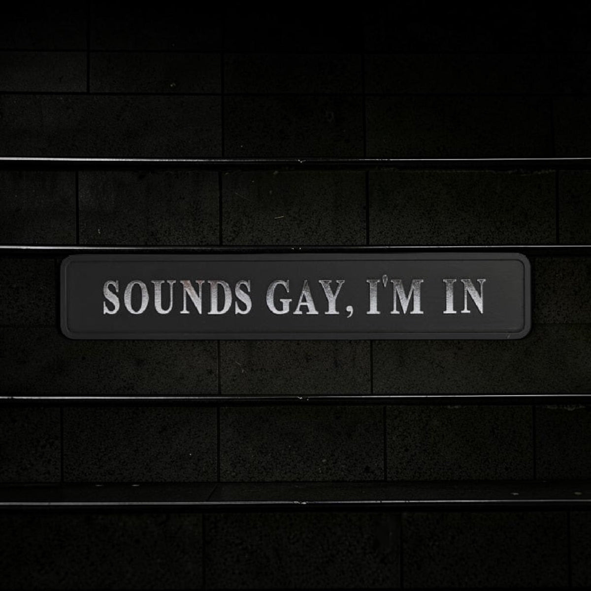 Black & Silver “Sounds Gay, I’m In” Wall Sign – Bold Statement Décor | Sign of the times Stoke