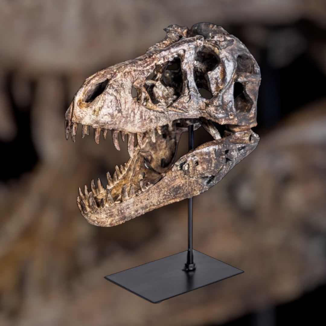 T-Rex Dinosaur Head Sculpture on Stand – Striking Prehistoric Décor | Sign of the times Stoke