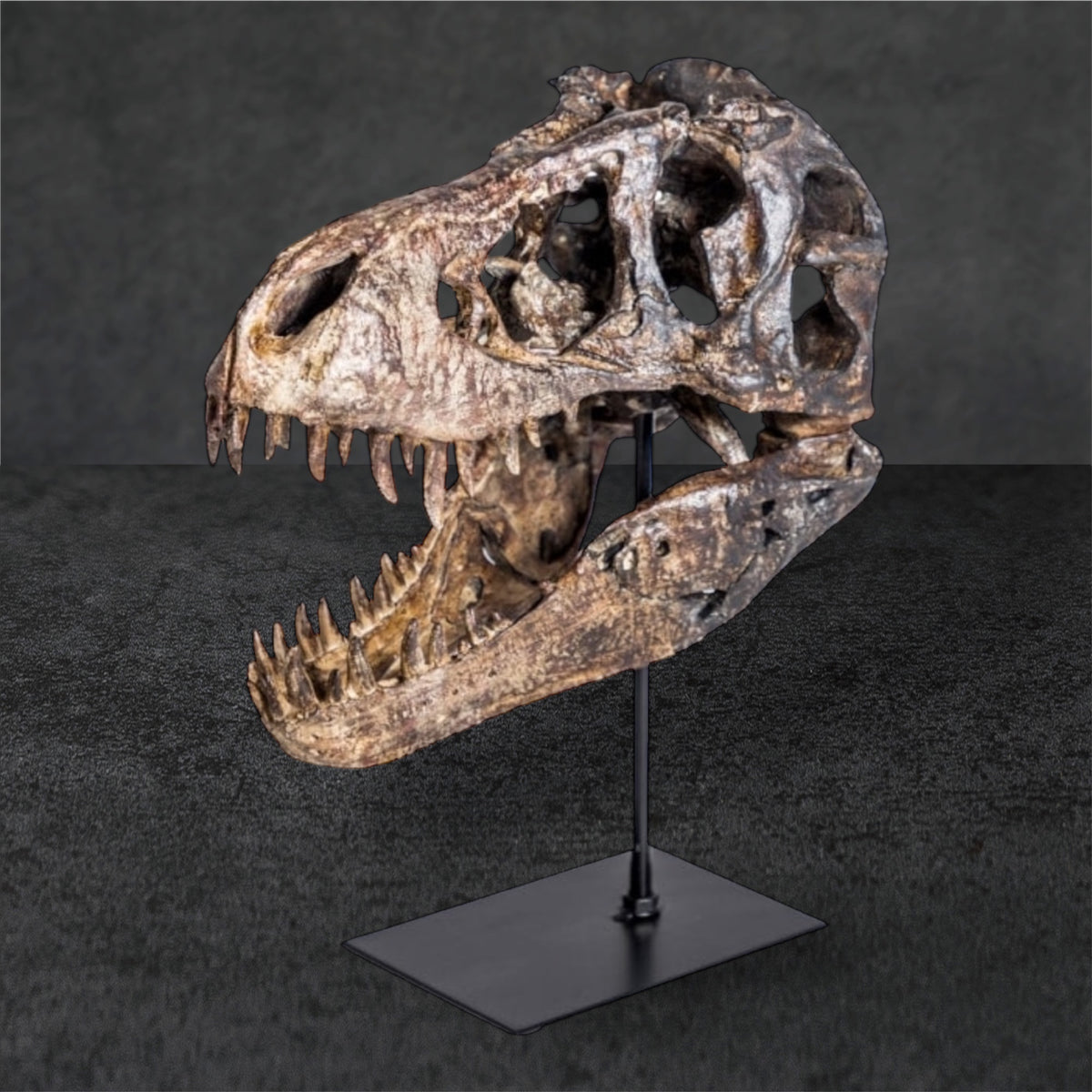 T-Rex Dinosaur Head Sculpture on Stand – Striking Prehistoric Décor | Sign of the times Stoke