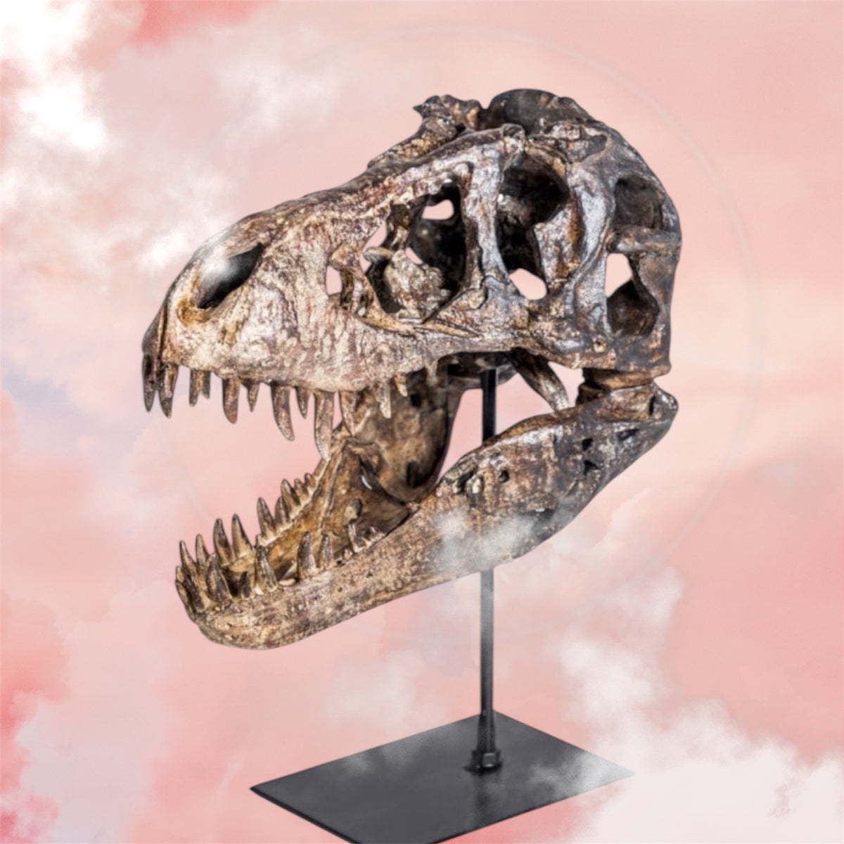 T-Rex Dinosaur Head Sculpture on Stand – Striking Prehistoric Décor | Sign of the times Stoke