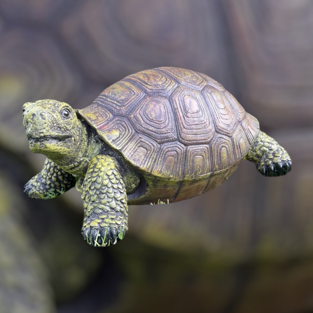 Large Resin Tortoise Sculpture – Realistic Outdoor/Indoor Decor | Sign of the times Stoke
