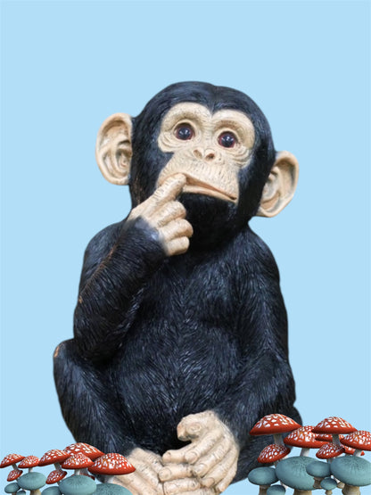Finger In Mouth Monkey Statue | Playful & Quirky Decorative Figurine | Fun Home | Sign of the times Stoke