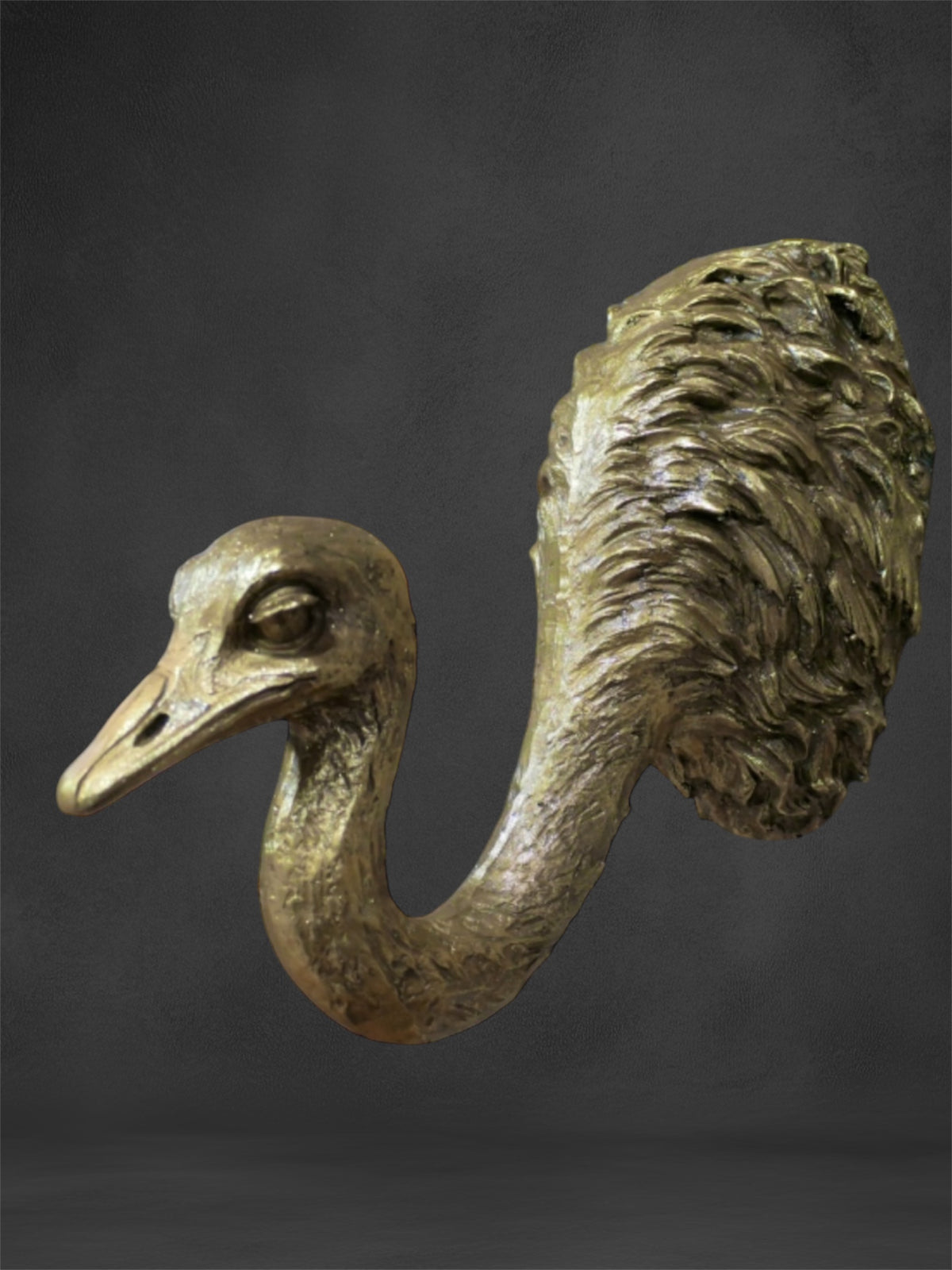 Ostrich Wall Decor – Quirky and Elegant Wall Sculpture | Sign of the times Stoke
