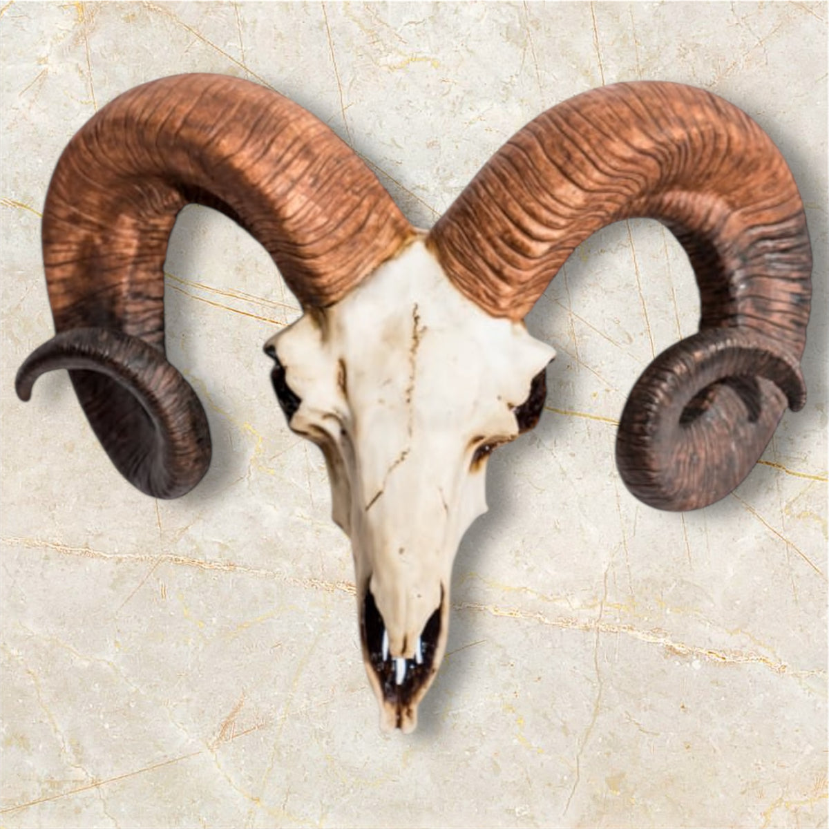 "Natural" Ram Skull Wall Head – Rustic Wall Décor with Intriguing Charm | Sign of the times Stoke