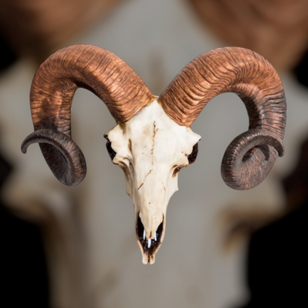 "Natural" Ram Skull Wall Head – Rustic Wall Décor with Intriguing Charm | Sign of the times Stoke