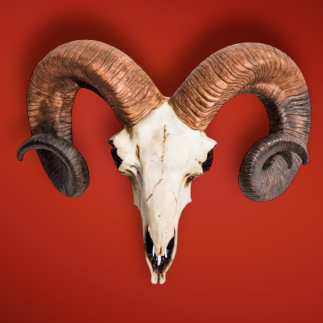 "Natural" Ram Skull Wall Head – Rustic Wall Décor with Intriguing Charm | Sign of the times Stoke