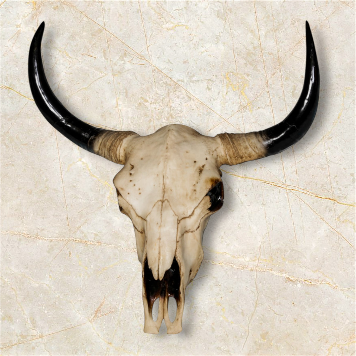 Extra Large Bison Wall Head – Majestic Resin Skull Wall Mount | Sign of the times Stoke