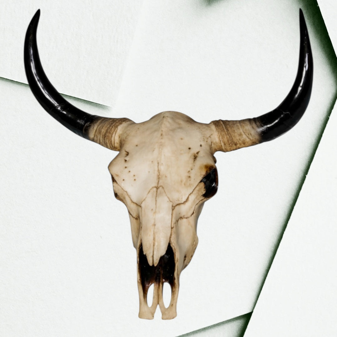 Extra Large Bison Wall Head – Majestic Resin Skull Wall Mount | Sign of the times Stoke