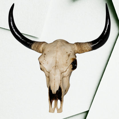 Extra Large Bison Wall Head – Majestic Resin Skull Wall Mount | Sign of the times Stoke