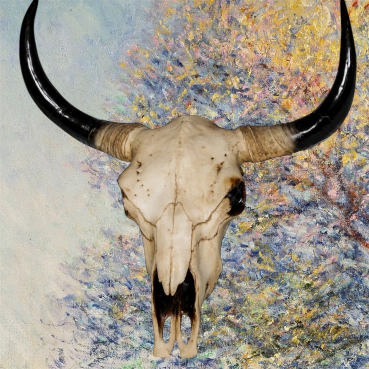 Extra Large Bison Wall Head – Majestic Resin Skull Wall Mount | Sign of the times Stoke
