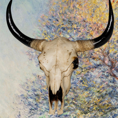Extra Large Bison Wall Head – Majestic Resin Skull Wall Mount | Sign of the times Stoke