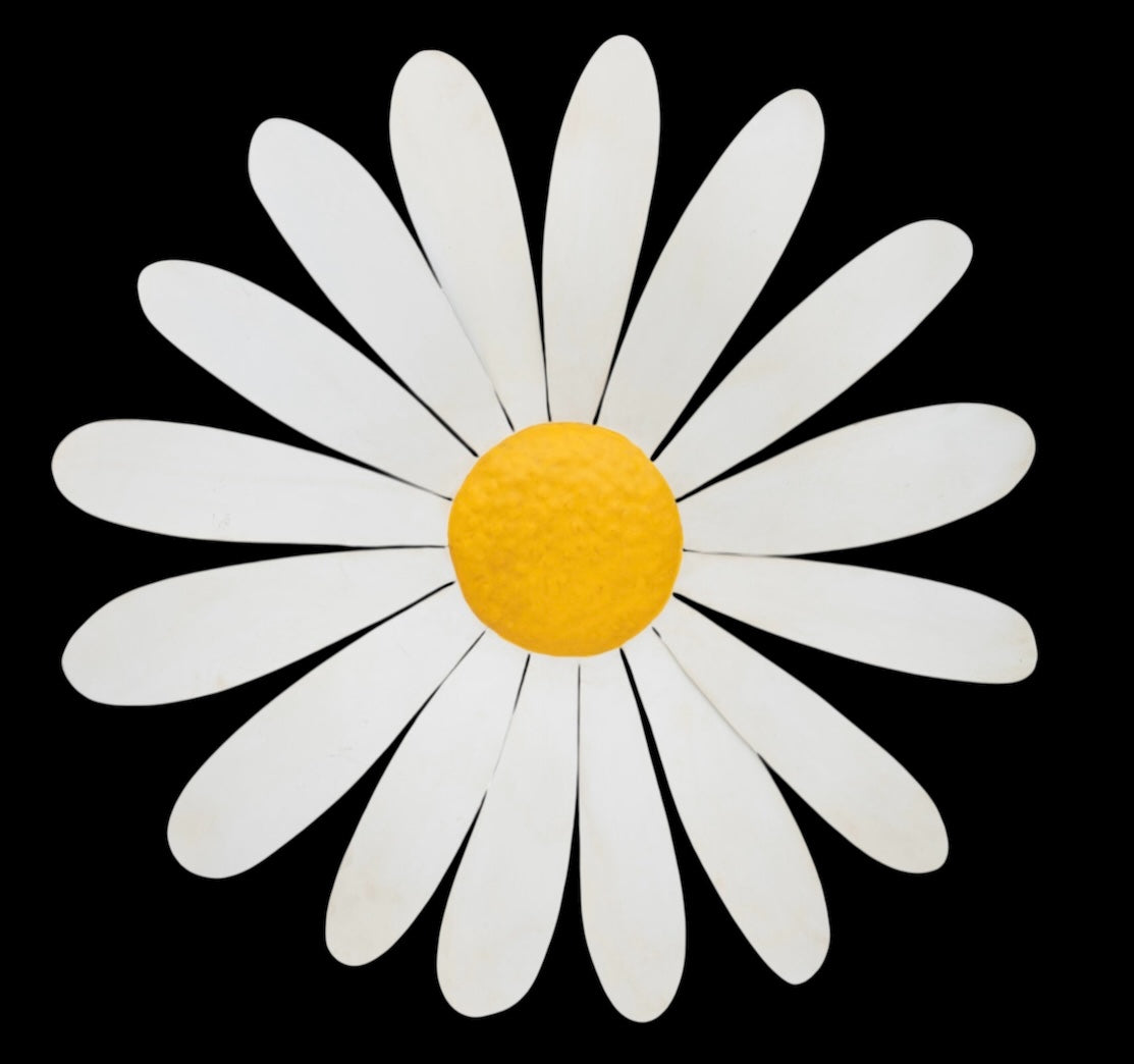 Daisy Metal Wall Art - Striking Indoor/Outdoor Decor | Sign of the times Stoke