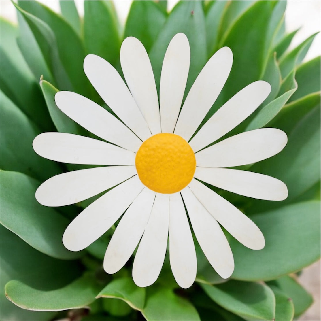 Daisy Metal Wall Art - Striking Indoor/Outdoor Decor | Sign of the times Stoke