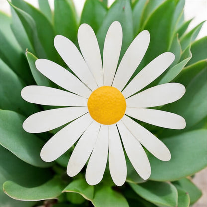 Daisy Metal Wall Art - Striking Indoor/Outdoor Decor | Sign of the times Stoke