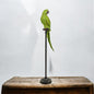 Extra Large Green Parrot on Floor-Standing Perch – Vibrant Tropical Bird Decor | Sign of the times Stoke
