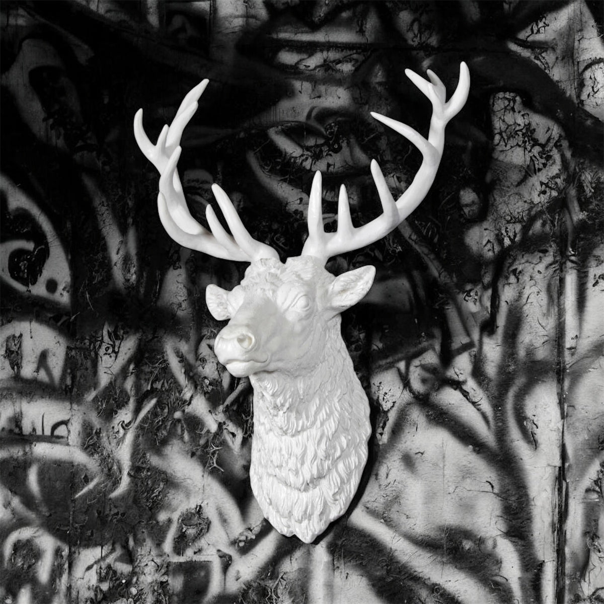 Elegant White Stag Head Wall Sculpture – Resin Wall Art | Sign of the times Stoke