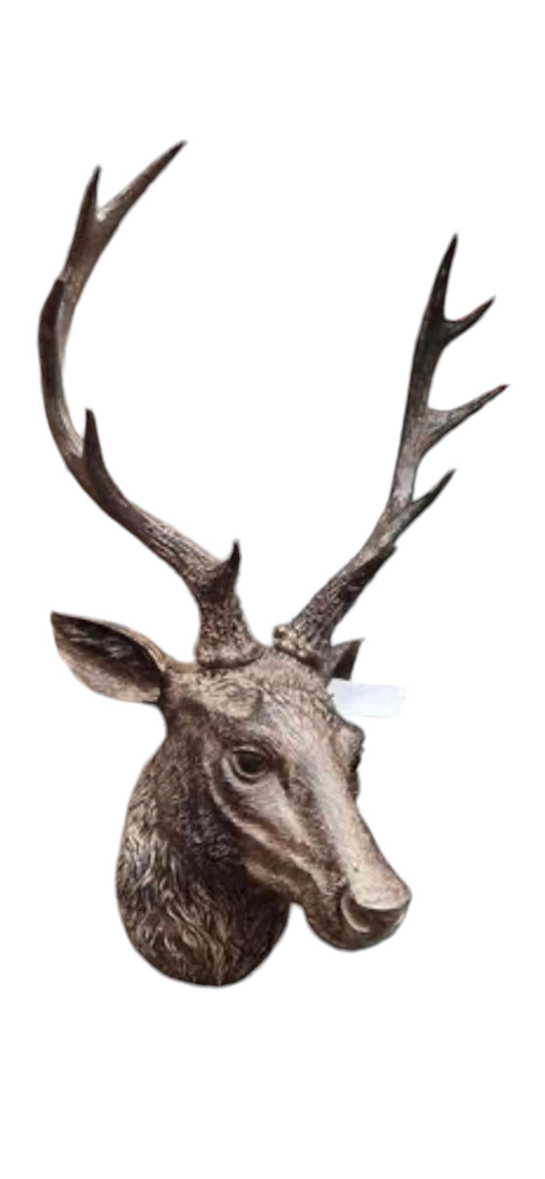 Stags Head Wall Mount - Natural Brown Resin Deer Head | Sign of the times Stoke