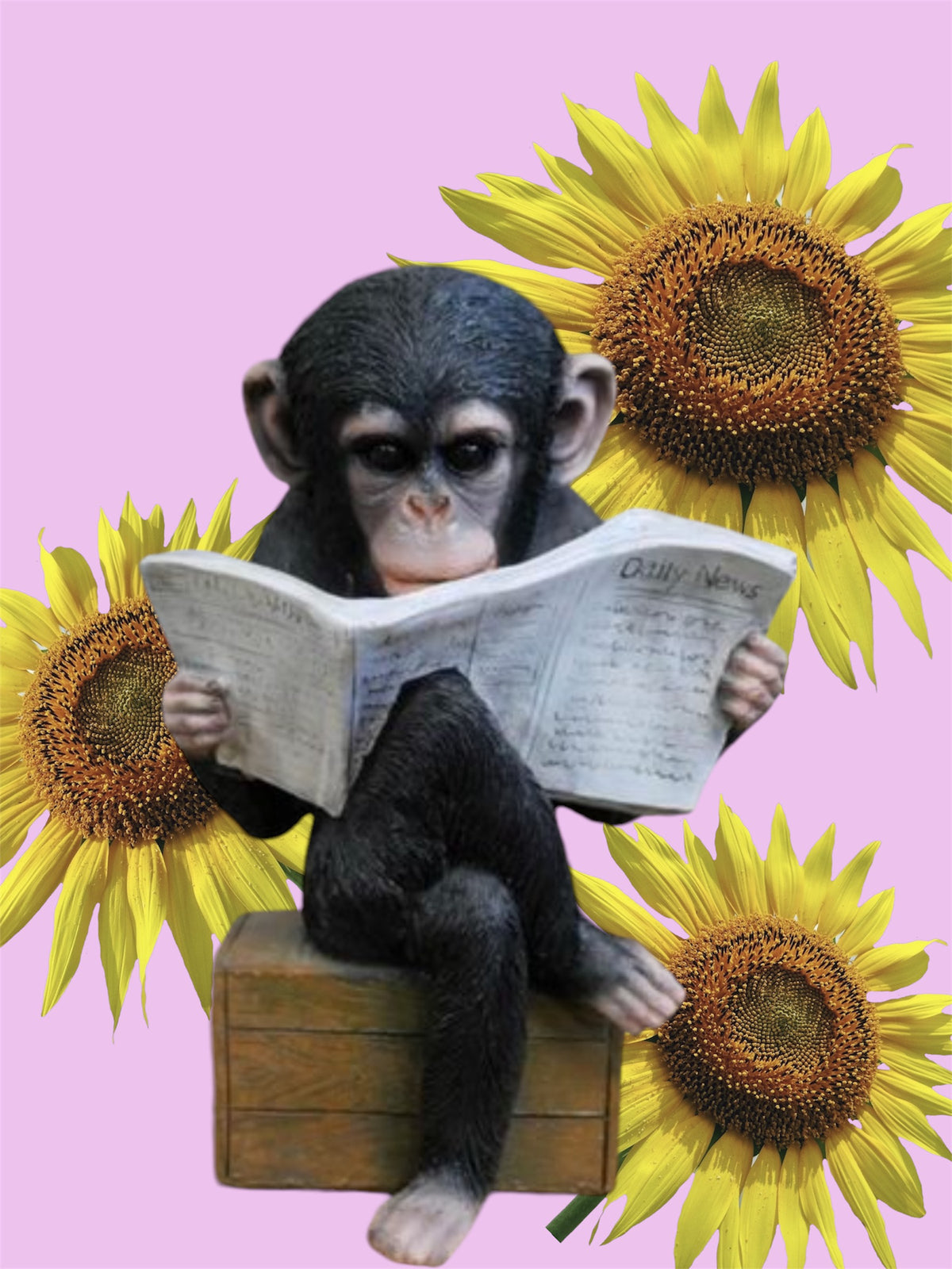 Monkey Reading the News - Charming Resin Figurine | Sign of the times Stoke
