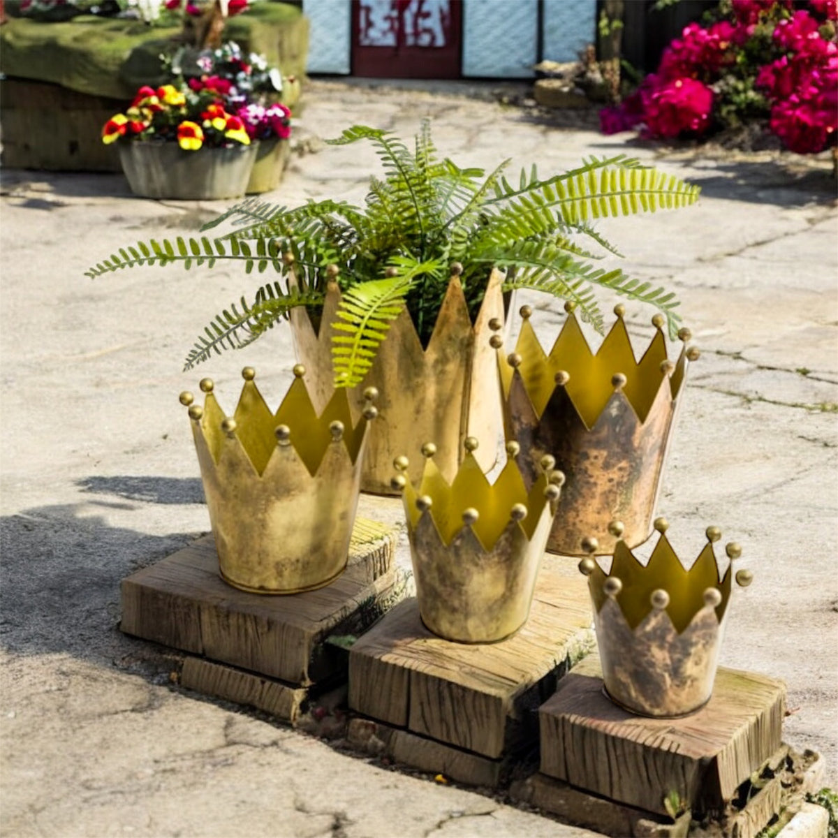 Set of 5 Antique Gold Metal Crown Planters – Elegant Indoor & Outdoor Décor | Sign of the times Stoke
