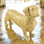 Gold Dachshund Figure – Stylish Dog Ornament | Sign of the times Stoke
