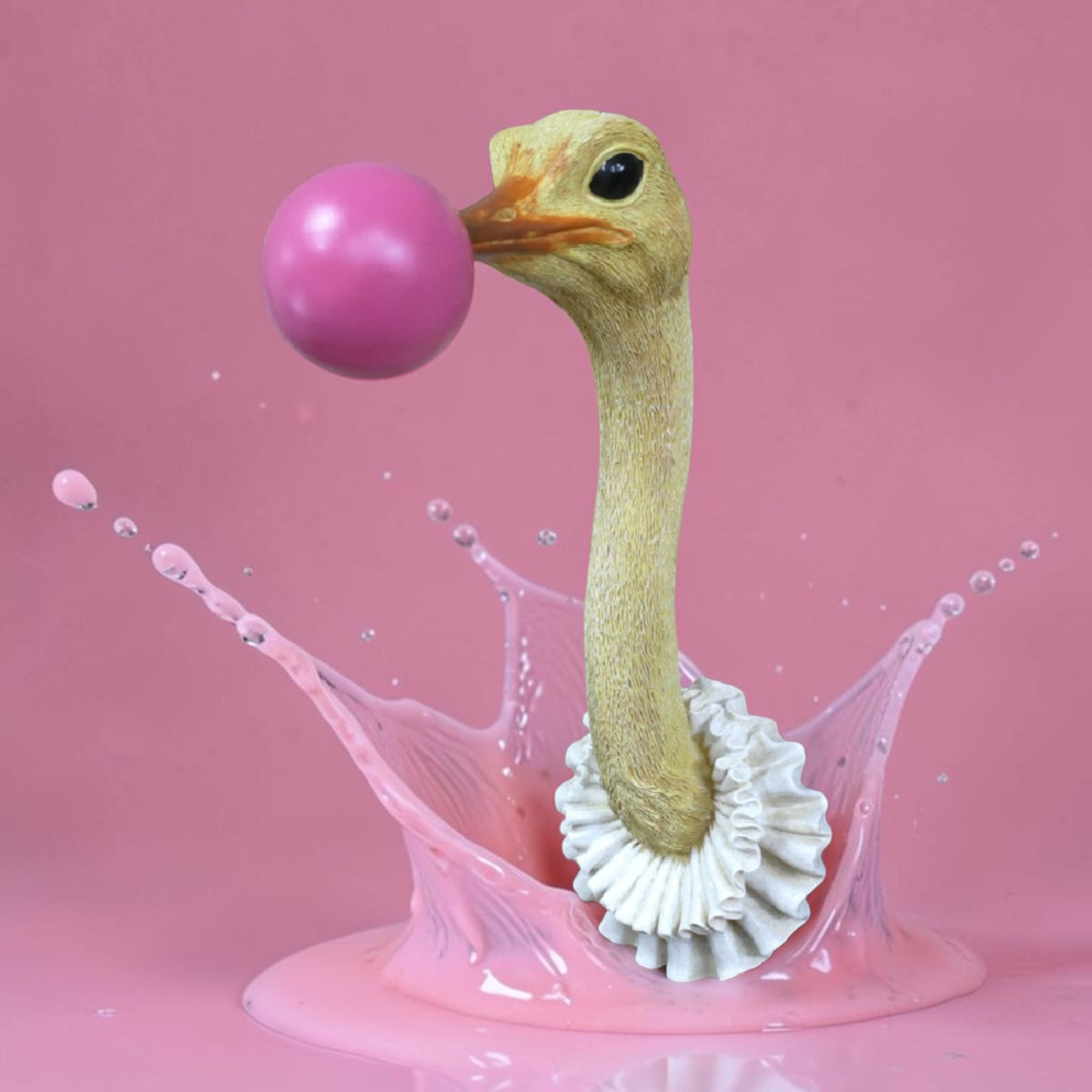 Ostrich Wall Decoration – Unique Animal Wall Sculpture | Sign of the times Stoke