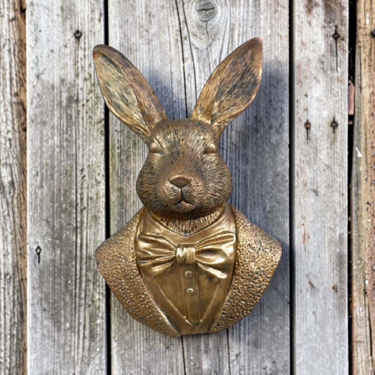 Rabbit Wall Decoration – Compact Animal Wall Sculpture | Sign of the times Stoke