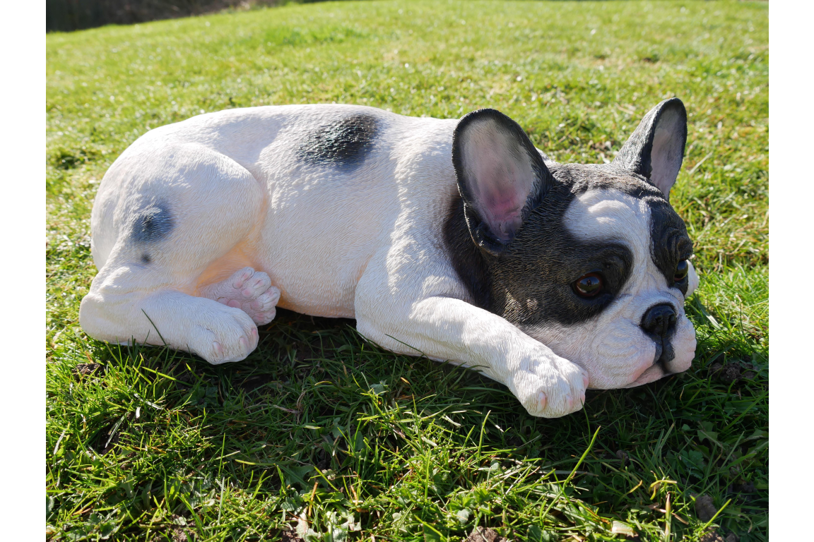 Laying Frenchie Dog Ornament - Adorable Resin Figurine | Sign of the times Stoke