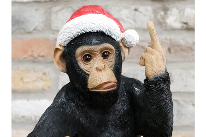 Up Yours Monkey Wine Bottle Holder – Cheeky Christmas Gift & Home Decor | Sign of the times Stoke