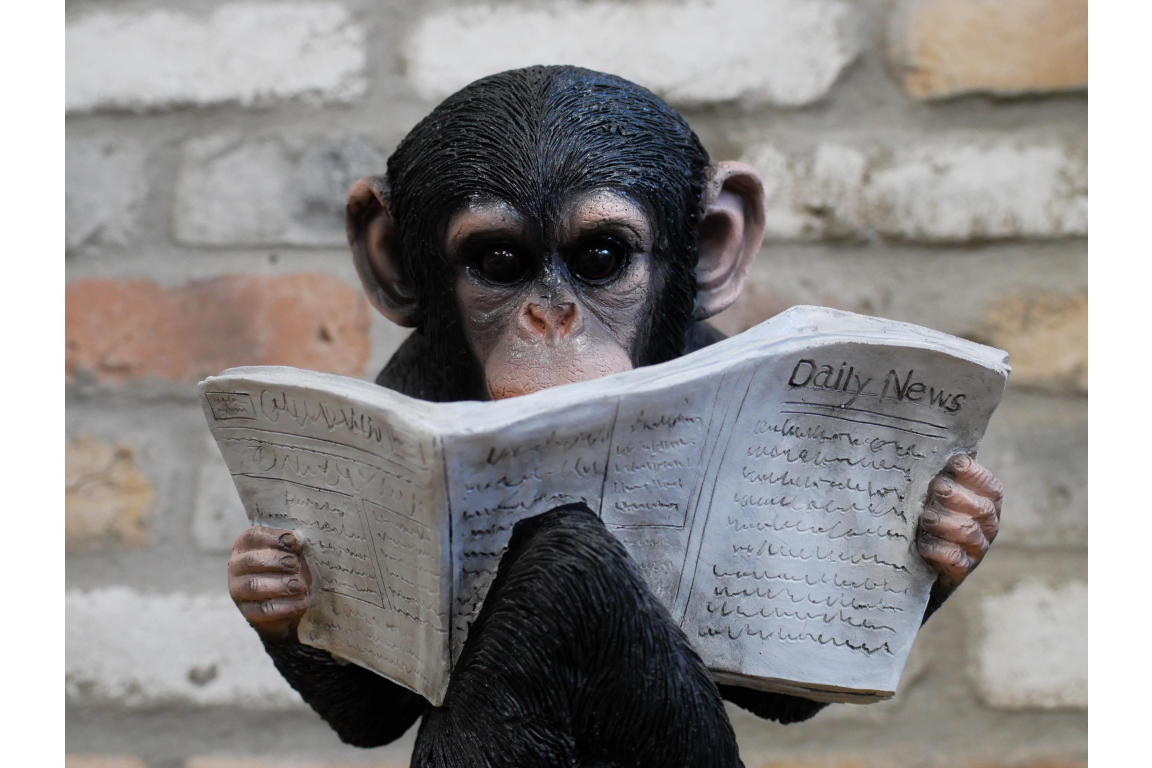 Monkey Reading the News - Charming Resin Figurine | Sign of the times Stoke