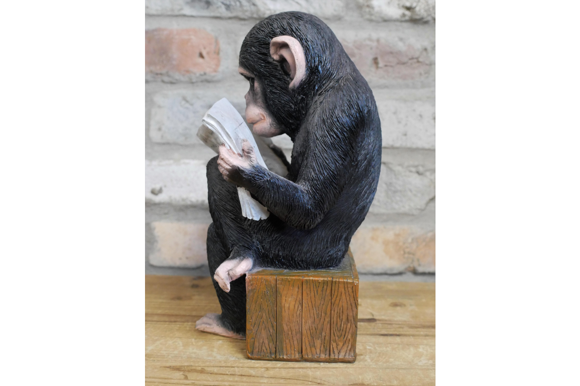 Monkey Reading the News - Charming Resin Figurine | Sign of the times Stoke