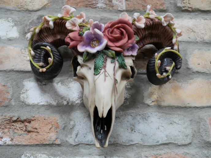 Floral Ram Skull Wall Head – Rustic Wall Décor with Intriguing Charm | Sign of the times Stoke