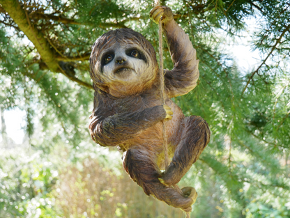 Climbing Sloth on Rope – Whimsical Hanging Animal Decor | Sign of the times Stoke