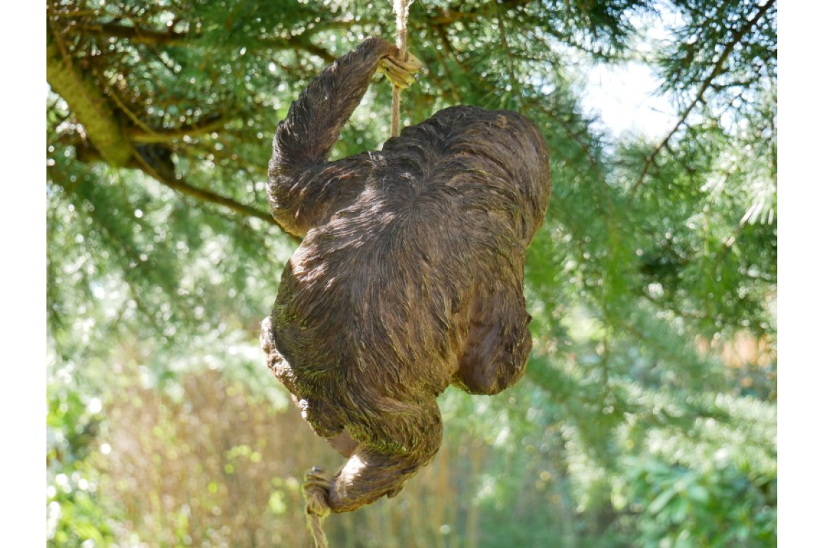 Climbing Sloth on Rope – Whimsical Hanging Animal Decor | Sign of the times Stoke